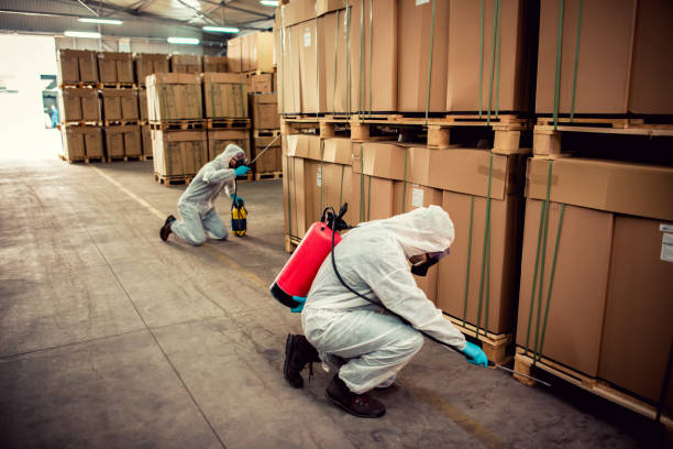 Pest Control for Restaurants in Bald Kno, AR